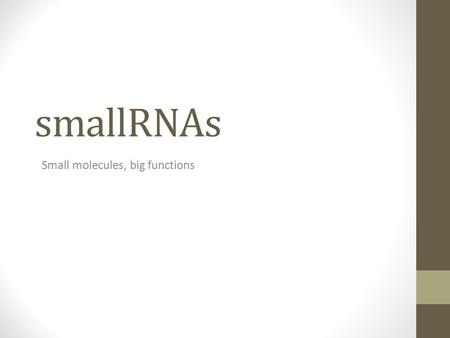 SmallRNAs Small molecules, big functions. Brief history The first described microRNA, lin-4 was cloned and characterised as a translational repressor.