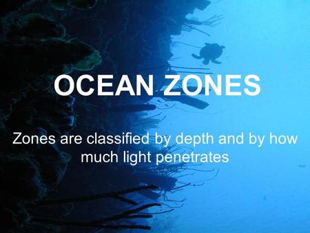 Zones are classified by depth and by how much light penetrates