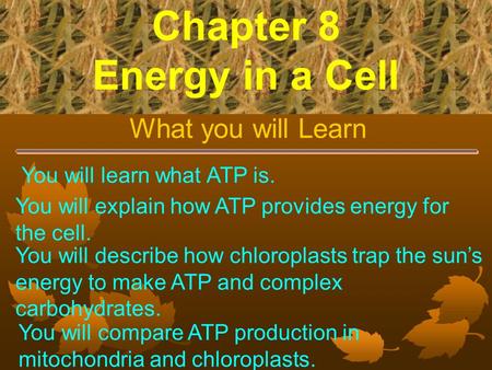 Chapter 8 Energy in a Cell What you will Learn You will learn what ATP is. You will explain how ATP provides energy for the cell. You will describe how.