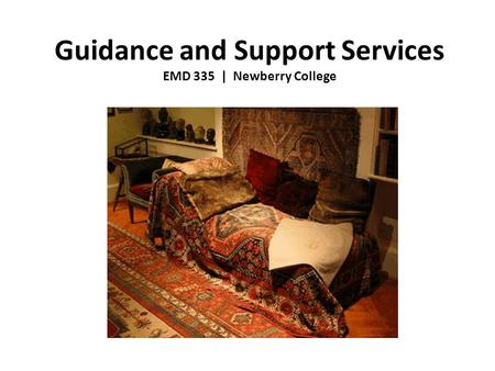 Guidance and Support Services EMD 335 | Newberry College.