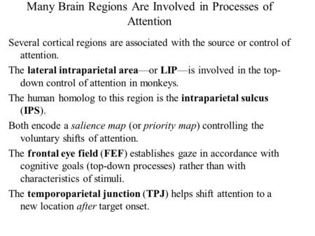 Many Brain Regions Are Involved in Processes of Attention Several cortical regions are associated with the source or control of attention. The lateral.