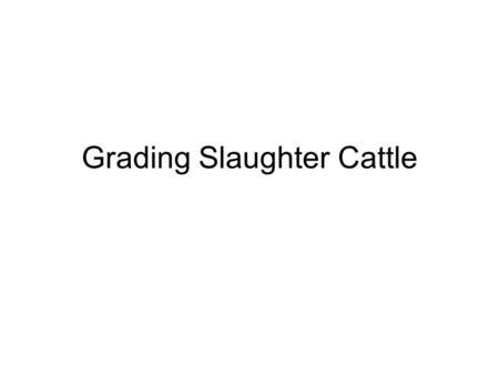 Grading Slaughter Cattle. Quality Grades: Prime (highest) Choice (most desirable today) Select (good) Standard Determined by the amount of fat.