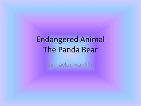 Endangered Animal The Panda Bear By: Taylor Franklin.