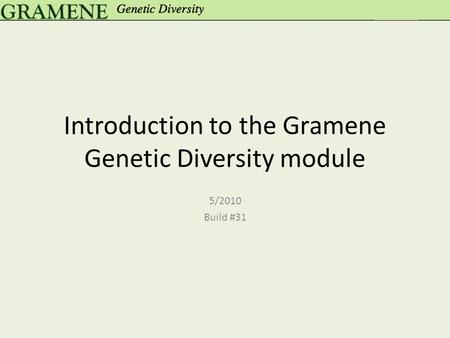 Introduction to the Gramene Genetic Diversity module 5/2010 Build #31.