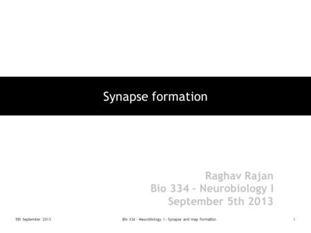 5th September 2013Bio 334 - Neurobiology I - Synapse and map formation1 Synapse formation Raghav Rajan Bio 334 – Neurobiology I September 5th 2013.