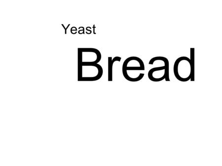 Yeast Bread. No. 1: History & Ingredients An introduction What is your favorite kind of bread? –Imagine you were stranded on a deserted island like Tom.