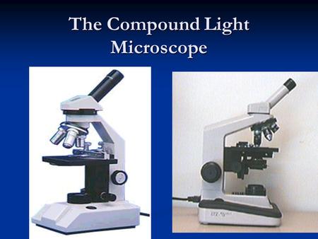 The Compound Light Microscope. Parts of the Microscope 1. Ocular lens: eyepiece (10x magnification) First lens First lens 2. Arm: connects base and body.