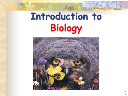 1 Introduction to Biology. 2 Biology – The Study of Life Life arose more than 3.5 billion years ago First organisms (living things) were single celled.