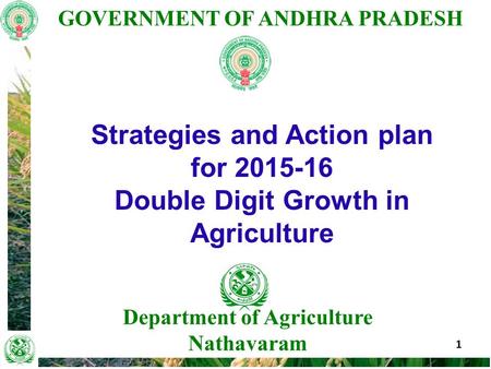 GOVERNMENT OF ANDHRA PRADESH 1 Department of Agriculture Nathavaram Strategies and Action plan for 2015-16 Double Digit Growth in Agriculture.