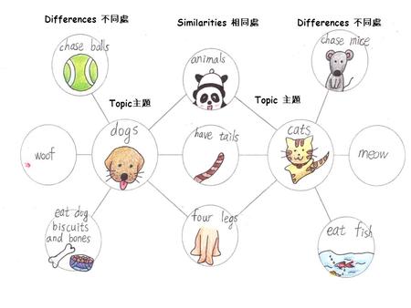 Differences 不同處 Similarities 相同處 Topic 主題. Jay Chou Jay Chou is a creative ( 有創意的 ) young singer from Taiwan. He is popular ( 受歡迎 的 ) in many Asian countries.