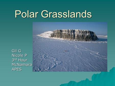 Polar Grasslands Gil G Nicole P 3 rd Hour McNamaraAPES.