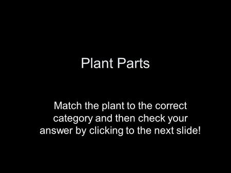 Plant Parts Match the plant to the correct category and then check your answer by clicking to the next slide!