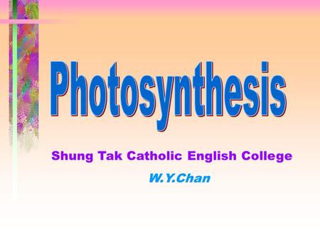 Shung Tak Catholic English College W.Y.Chan Experiments on photosynthesis Destarching  Starch is a detectable product of photosynthesis.  Presence.