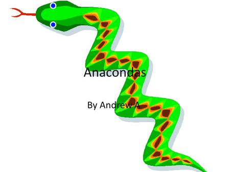 Anacondas By Andrew A. Physical Characteristics Protective coloring camouflages them from prey. Thick as a telephone pole. Often over 20 feet long. Eyes.