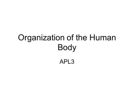 Organization of the Human Body APL3. Body cavities Dorsal Cavity –Cranial cavity— contains the brain –Spinal cavity-contains the spinal cord Cavities.