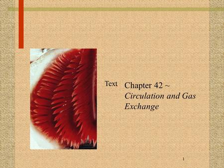 Chapter 42 ~ Circulation and Gas Exchange