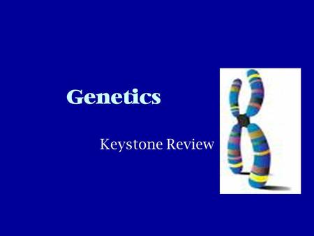 Genetics Keystone Review. Terms You Need To Know Gene- sequence of DNA that codes for a protein and thus determines a trait Trait- a characteristic that.