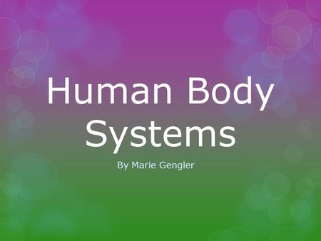 Human Body Systems By Marie Gengler. Table of Contents  Nervous System  Muscular System  Skeletal System.