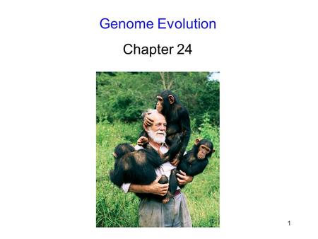 1 Genome Evolution Chapter 24. 2 Introduction Genomes contain the raw material for evolution; Comparing whole genomes enhances – Our ability to understand.