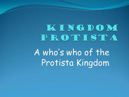 A who’s who of the Protista Kingdom. What are The five kingdoms? Monera PROTISTA Fungi Plantae Animalia.