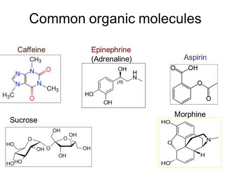 Common organic molecules Caffeine Aspirin Morphine Sucrose Epinephrine (Adrenaline)