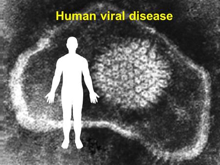 Human viral disease. Who gets them? Mammals and birds amphibians, reptiles and fish plants and fungi insects even bacteria are infected by viruses.