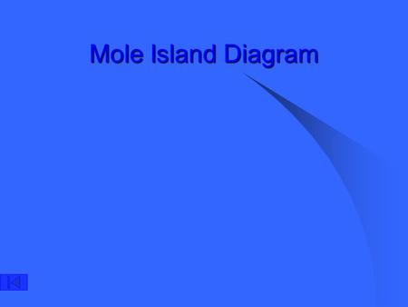 Mole Island Diagram.