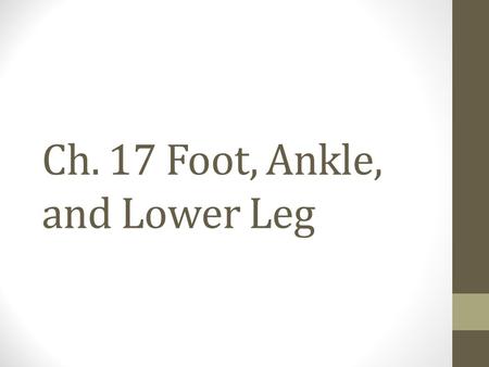 Ch. 17 Foot, Ankle, and Lower Leg