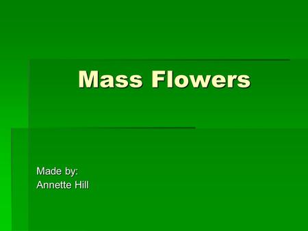 Mass Flowers Made by: Annette Hill. Mass Flowers  Composed of a single stem having one solid, rounded head at the top  Used to create focus  Are very.
