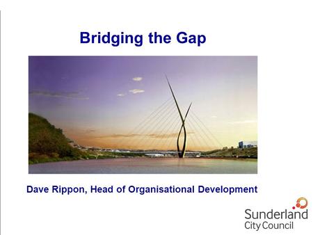 Dave Rippon, Head of Organisational Development Bridging the Gap.