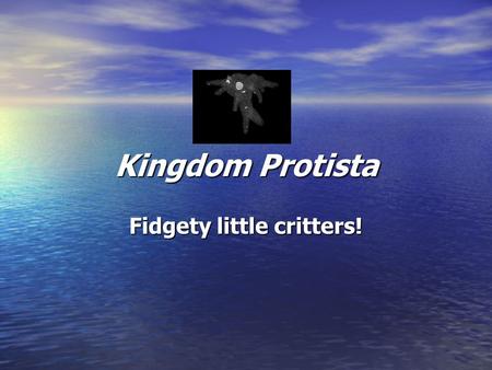 Kingdom Protista Fidgety little critters!. Protista.