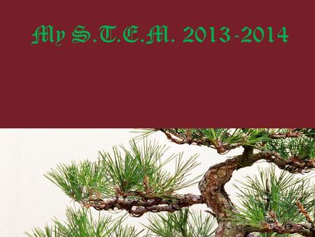 My S.T.E.M. 2013-2014. Question Which type of tree will have the most relief from the sun?