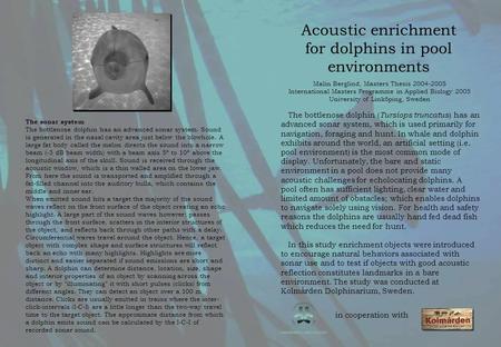 Acoustic enrichment for dolphins in pool environments Malin Berglind, Masters Thesis 2004-2005 International Masters Programme in Applied Biology 2005.