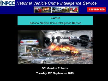 National Vehicle Crime Intelligence Service
