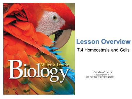 Lesson Overview 7.4 Homeostasis and Cells.