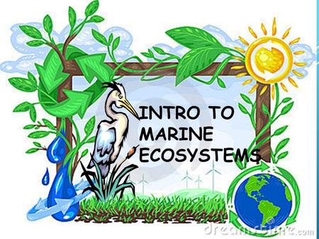 INTRO TO MARINE ECOSYSTEMS. WHAT IS ECOLOGY? Ecology- energy transfer. the scientific study of interactions between organisms and their environments,