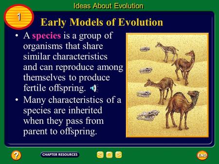 Many characteristics of a species are inherited when they pass from parent to offspring. A species is a group of organisms that share similar characteristics.