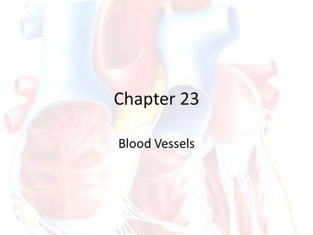 Chapter 23 Blood Vessels. Blood Vessel Tunics Walls of blood vessels have three layers, or tunics 1.Tunica externa (adventitia) – anchor BV to an organ.