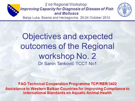 2 nd Regional Workshop: Improving Capacity for Diagnosis of Disease of Fish and Molluscs Banja Luka, Bosnia and Herzegovina, 20-24 October 2013 FAO Technical.