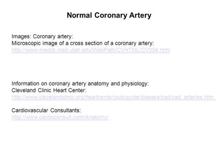 Normal Coronary Artery Images: Coronary artery: Microscopic image of a cross section of a coronary artery: