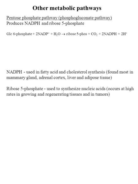 Other metabolic pathways Pentose phosphate pathway (phosphogluconate pathway) Produces NADPH and ribose 5-phosphate Glc 6-phosphate + 2NADP + + H 2 O 