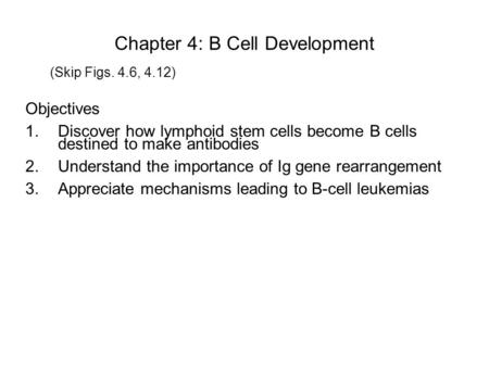 Chapter 4: B Cell Development Objectives 1.Discover how lymphoid stem cells become B cells destined to make antibodies 2.Understand the importance of Ig.