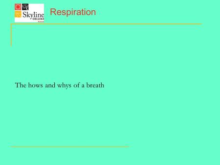 Respiration The hows and whys of a breath. The Tidal movement of air.
