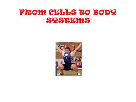FROM CELLS TO BODY SYSTEMS. From Cells to System Cells are the basic building blocks of life. Each cell in your body does a particular job. Tissues are.