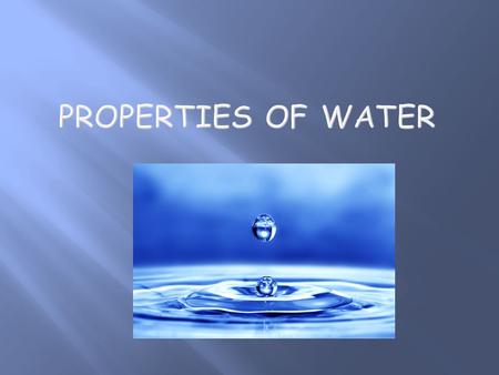  All processes necessary for life take place in a watery environment.