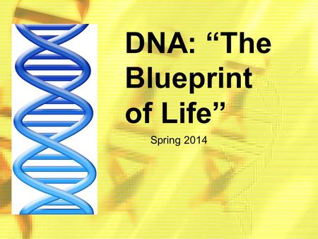 DNA: “The Blueprint of Life” Spring 2014. DNA: Scientists in History.