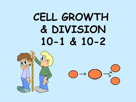 CELL GROWTH & DIVISION 10-1 & 10-2. 2 Reasons why cells divide 1. _____________________ As cell grows bigger demand on DNA “genetic library” becomes too.