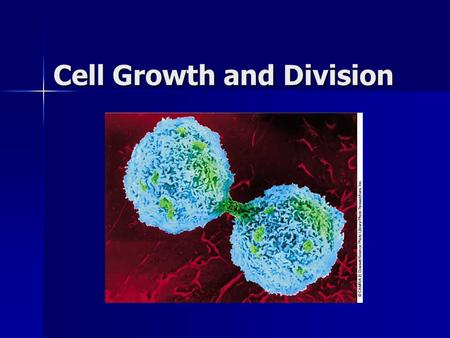 Cell Growth and Division. Why do cells divide? DNA “Overload” DNA “Overload” –Not enough information for a big cell Exchanging Materials Exchanging Materials.