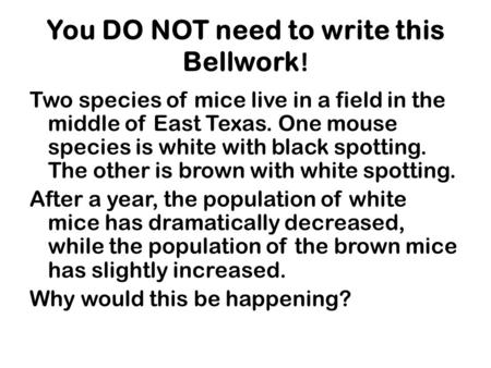 You DO NOT need to write this Bellwork ! Two species of mice live in a field in the middle of East Texas. One mouse species is white with black spotting.