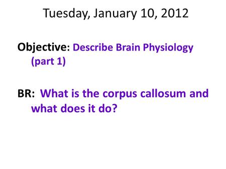 Tuesday, January 10, 2012 Objective : Describe Brain Physiology (part 1) BR:What is the corpus callosum and what does it do?